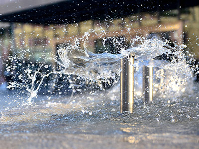 沙湖原种场企业风采