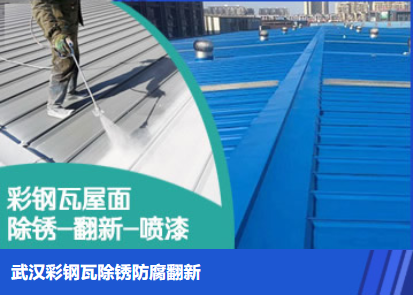 沙湖原种场属屋面防腐翻新是确保金属屋面长久使用