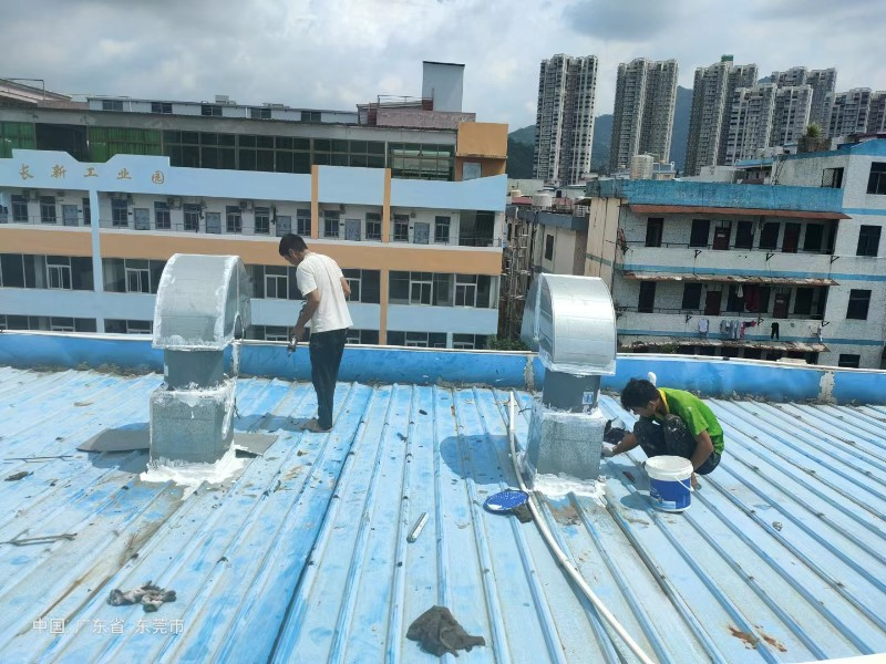 沙湖原种场钢结构屋面涂料维修方法