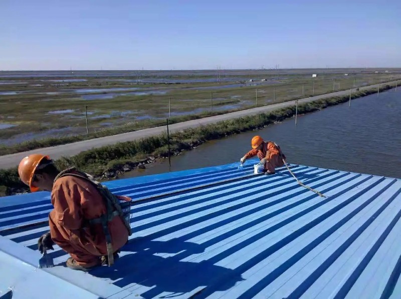 沙湖原种场彩钢瓦屋面防腐翻新